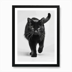 Black Cat Walking Art Print