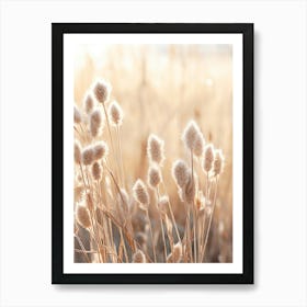 Boho Dried Flowers Prairie Clover Art Print