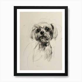 Maltese Dog Charcoal Line 1 Art Print