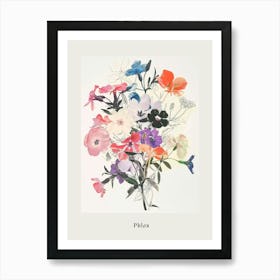 Phlox 3 Collage Flower Bouquet Poster Art Print