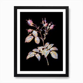 Stained Glass Evrat's Rose with Crimson Buds Mosaic Botanical Illustration on Black Art Print