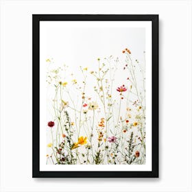 Wildflowers Flowers Flora Floral Flower Art Print