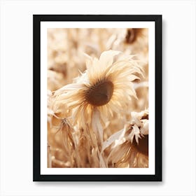 Boho Dried Flowers Sunflower 2 Art Print