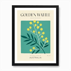 Vintage Green And Yellow Golden Wattle Flower Of Australia Art Print