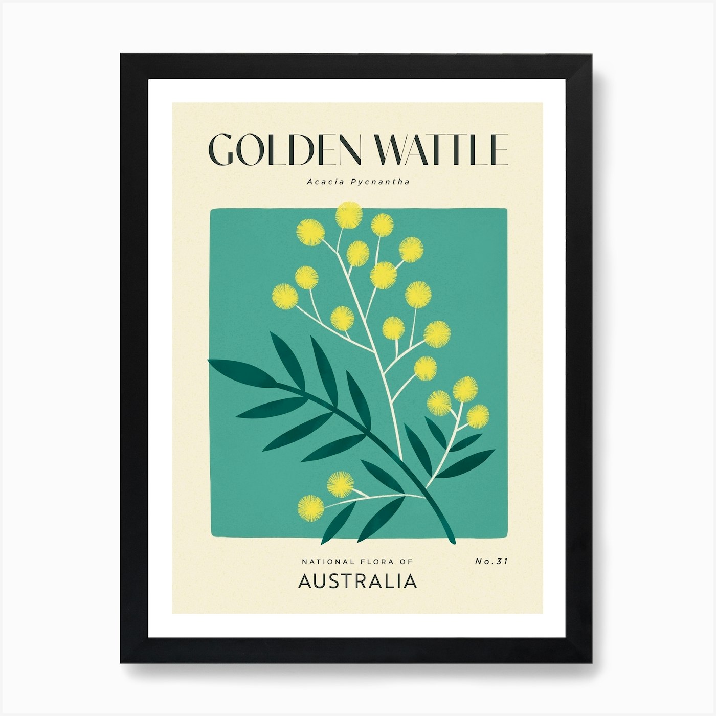 Vintage Green And Yellow Golden Wattle Flower Of Australia Art Print by  Bird and Co Studio - Fy