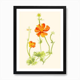 Orange Daisy Flower Painting Art Print