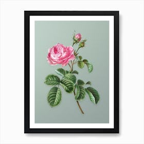 Vintage Provence Rose Botanical Art on Mint Green n.0404 Art Print