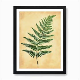 Pattern Poster Japanese Painted Fern 1 Art Print