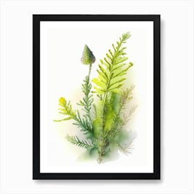 Club Moss Wildflower Watercolour 2 Art Print