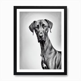 Rhodesian Ridgeback B&W Pencil Dog Art Print