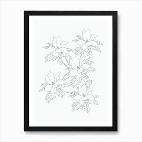 Magnolia In Ink Art Print