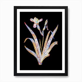 Stained Glass Hungarian Iris Mosaic Botanical Illustration on Black n.0288 Art Print