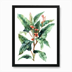 Hibiscus 20 Art Print