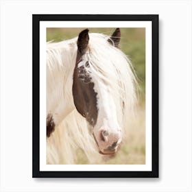 Paint Horse Art Print