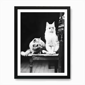 Two Cats Wearing Sunglasses On A Chair, Vintage Black and White Old Photo Art Print