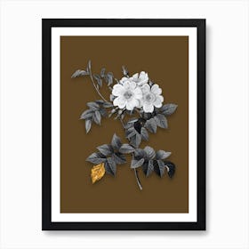 Vintage White Rosebush Black and White Gold Leaf Floral Art on Coffee Brown n.0772 Art Print