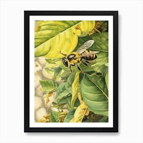 German Yellowjacket Bee Beehive Watercolour Illustration 3 Art Print