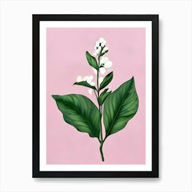 Sage Flower Art Print