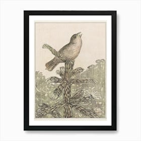 Singing Bird On A Pine Tree (1878–1906), Theo Van Hoytema Art Print