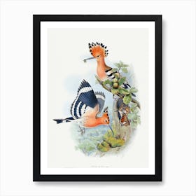 Vintage Bird Art Print Art Print