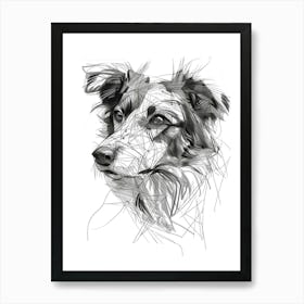 Nova Scotia Duck Tolling Retriever Line Sketch Art Print