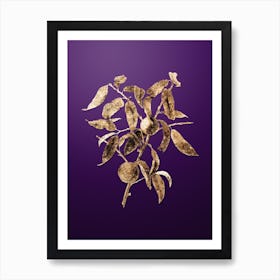 Gold Botanical Peach on Royal Purple n.0328 Art Print