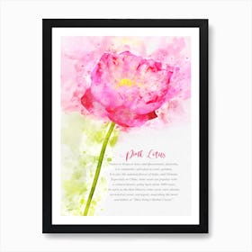 Pink Lotus Poster