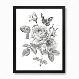 Rose With Butterfly Line Drawing 2 Art Print