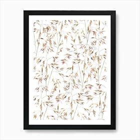 Native Themeda Grass Pattern On White Art Print