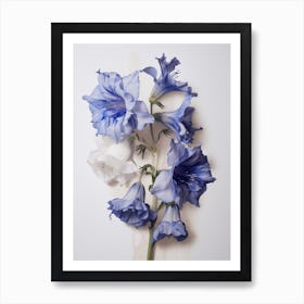 Pressed Flower Botanical Art Canterbury Bells Art Print