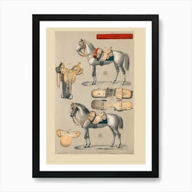 Horse Saddles Art Print