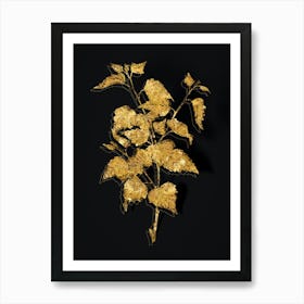 Vintage Silver Birch Botanical in Gold on Black n.0130 Art Print