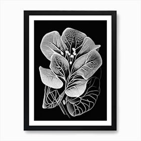 Purslane Leaf Linocut 1 Art Print