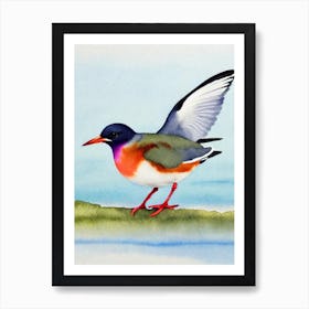 Common Tern Watercolour Bird Art Print