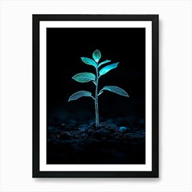 Small Green Plant On Black Background 8 Art Print