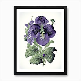 Violets Floral 3 Botanical Vintage Poster Flower Art Print