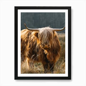 Highland Cow in the field | colorful travel photography 3 Art Print