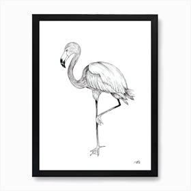 Black and White Flamingo Art Print