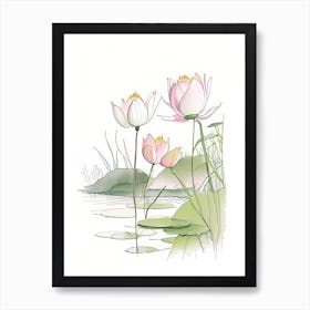 Lotus Flowers In Park Pencil Illustration 4 Art Print