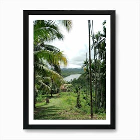 Palm Trees In The Jungle Art Print