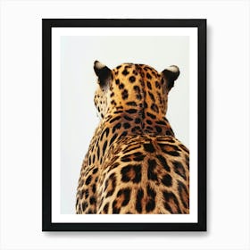 Back Of A Jaguar 1 Art Print