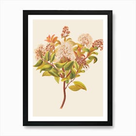 Eucalyptus 16 Art Print