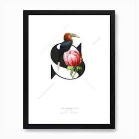 Botanical  Alphabet S Art Print