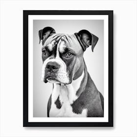Boxer B&W Pencil Dog Art Print