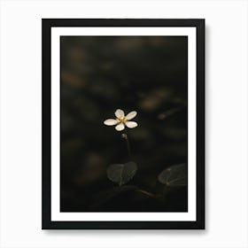 Small Flower In Water Art Print