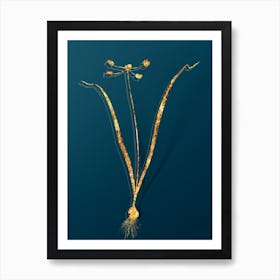 Vintage Allium Scorzonera Folium Botanical in Gold on Teal Blue n.0074 Art Print
