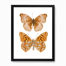 Two Silver And Gold Butterflies Art Print