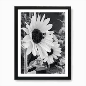 Bee Sunflower 6 Art Print