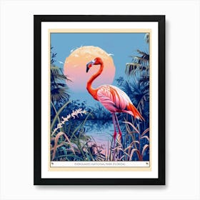 Greater Flamingo Everglades National Park Florida Tropical Illustration 4 Poster Art Print