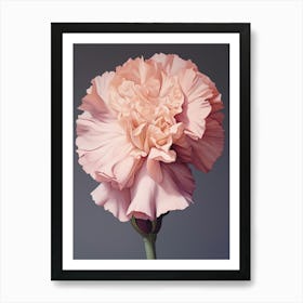 Floral Illustration Carnation Dianthus 4 Art Print